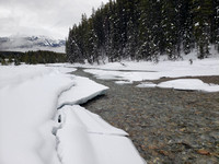 Bow River 01-28-24