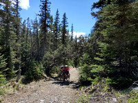 Crouching Rider, Fallen Tree