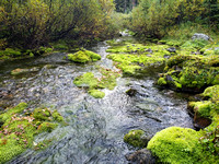 Headwall Creek