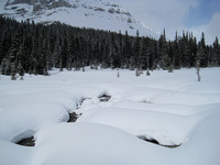 headwaters of the Bow River