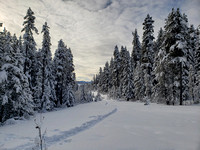 a winter wonderland